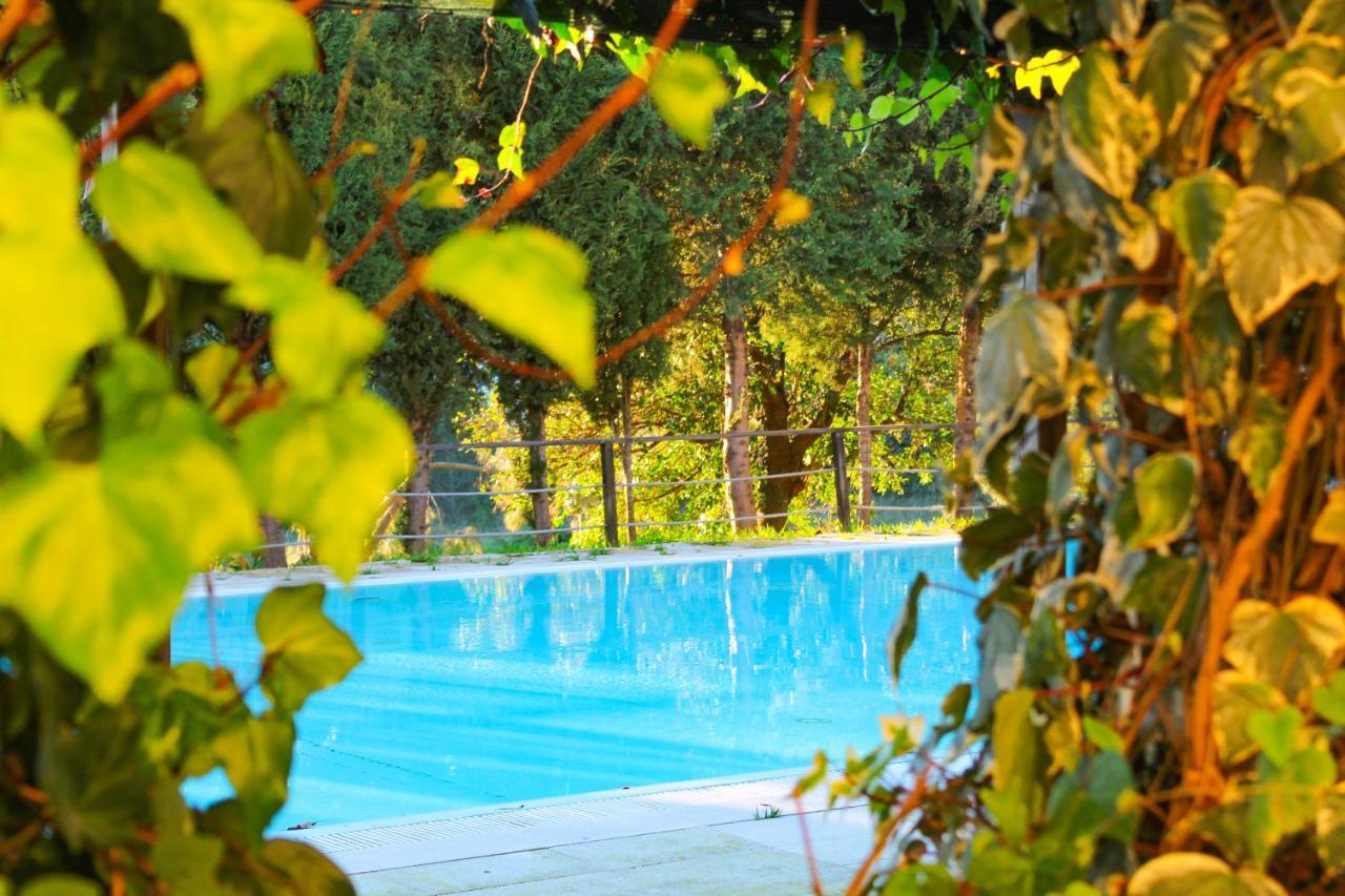 Coimbra Camping & Bungalows Exteriér fotografie